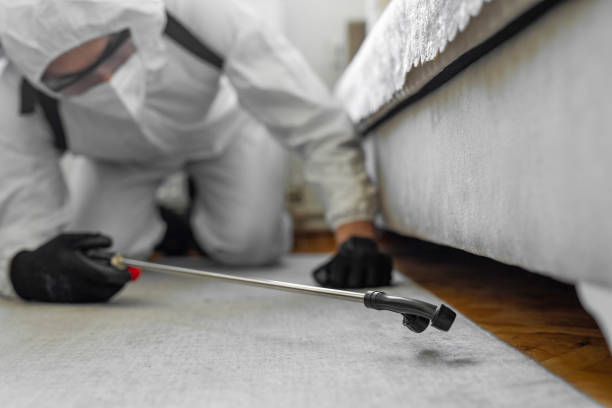 Professional Bed Bug Control technician working in Silverton, OR