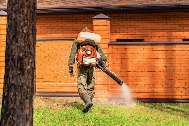 Top rated local Bed Bug Control specialists in Silverton, OR